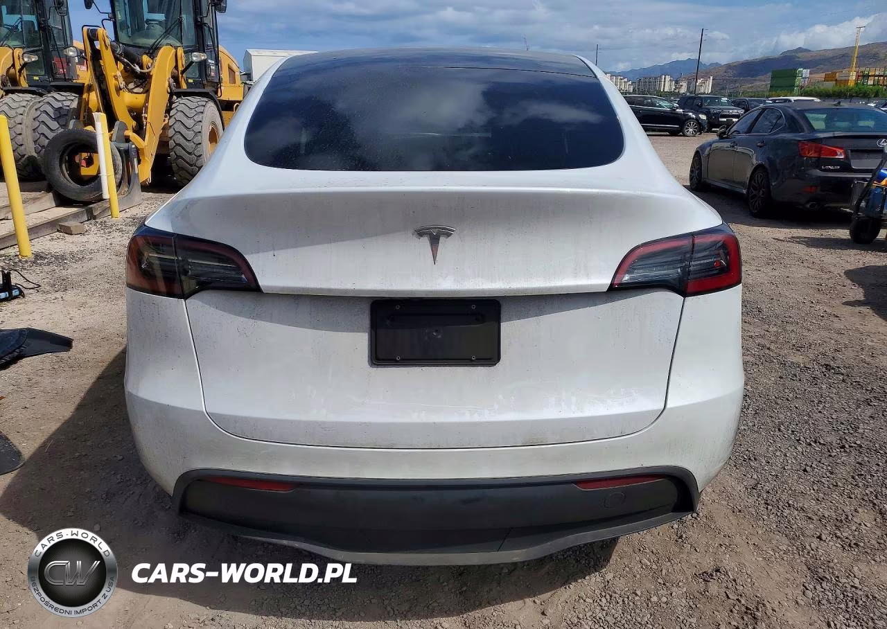 2024 Tesla Model Y VIN:7SAYGDED0RF102563 - 6