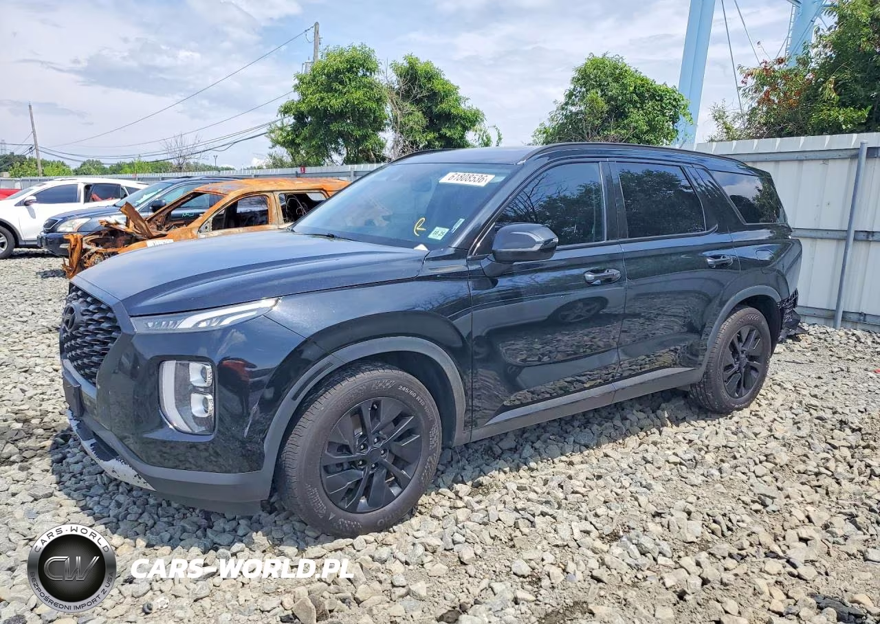 2020 Hyundai Palisade Sel