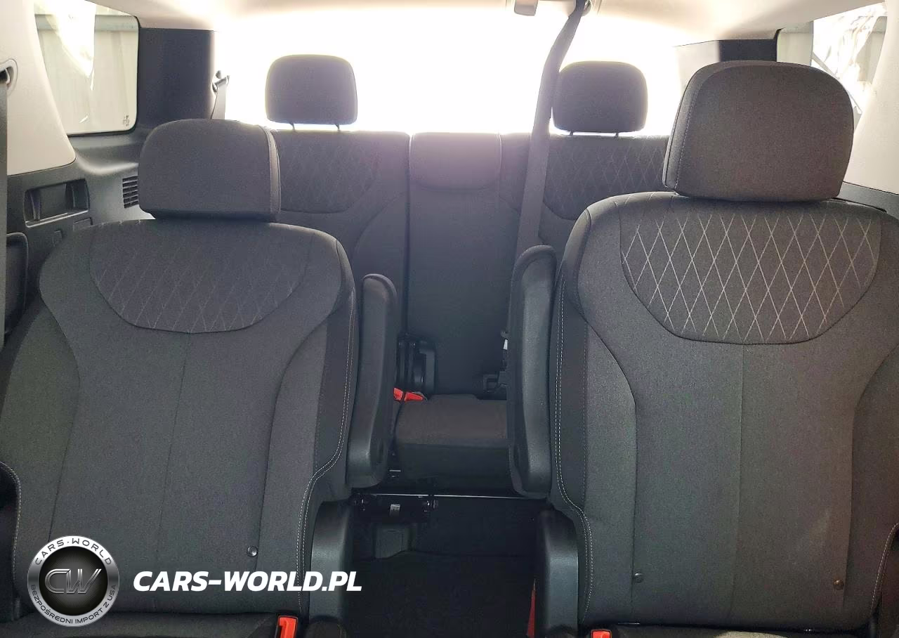 2020 Hyundai Palisade Sel VIN:KM8R24HE9LU050896 - 10