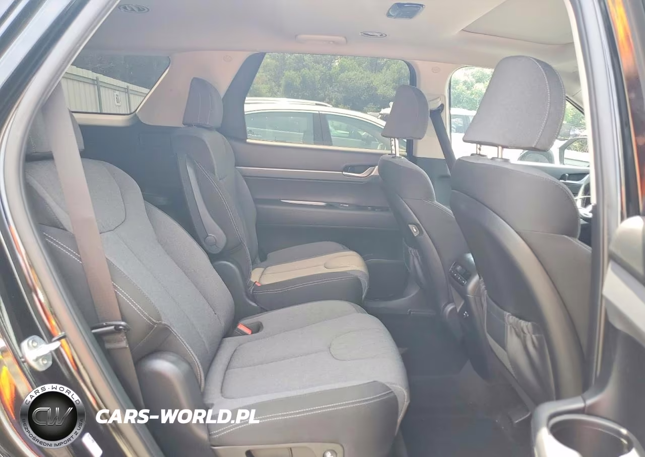 2020 Hyundai Palisade Sel VIN:KM8R24HE9LU050896 - 11
