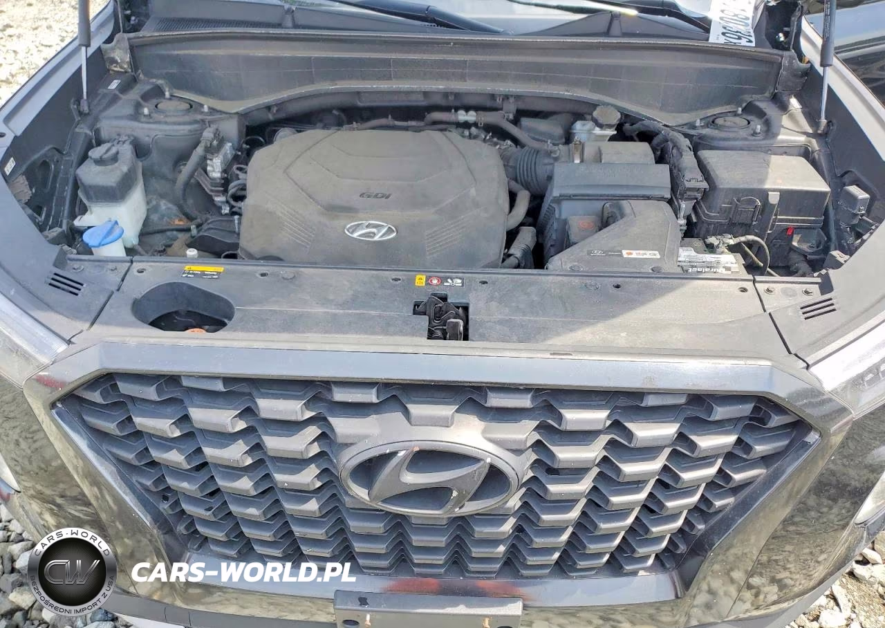 2020 Hyundai Palisade Sel VIN:KM8R24HE9LU050896 - 12