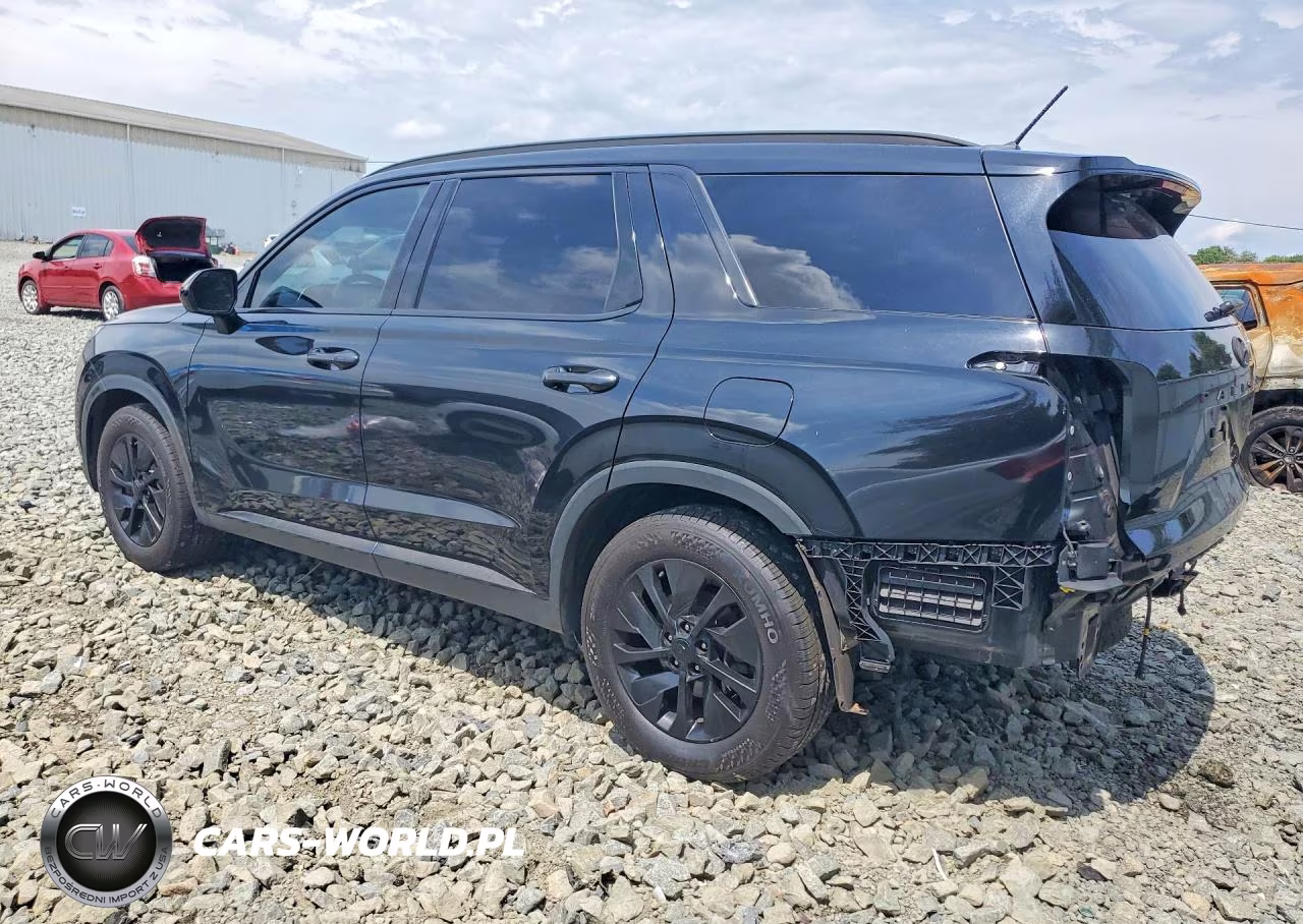 2020 Hyundai Palisade Sel VIN:KM8R24HE9LU050896 - 2
