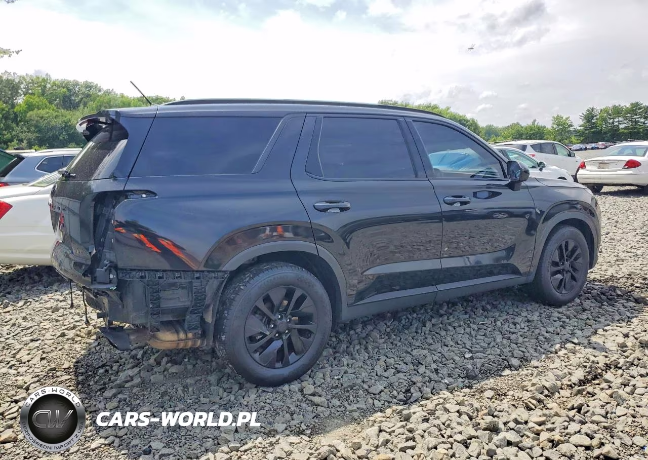 2020 Hyundai Palisade Sel VIN:KM8R24HE9LU050896 - 3