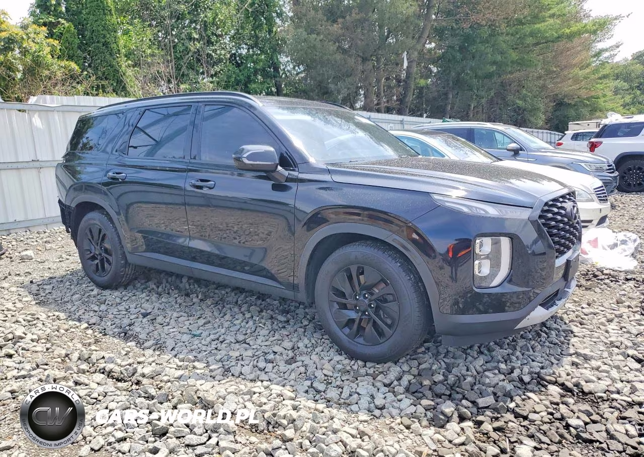 2020 Hyundai Palisade Sel VIN:KM8R24HE9LU050896 - 4