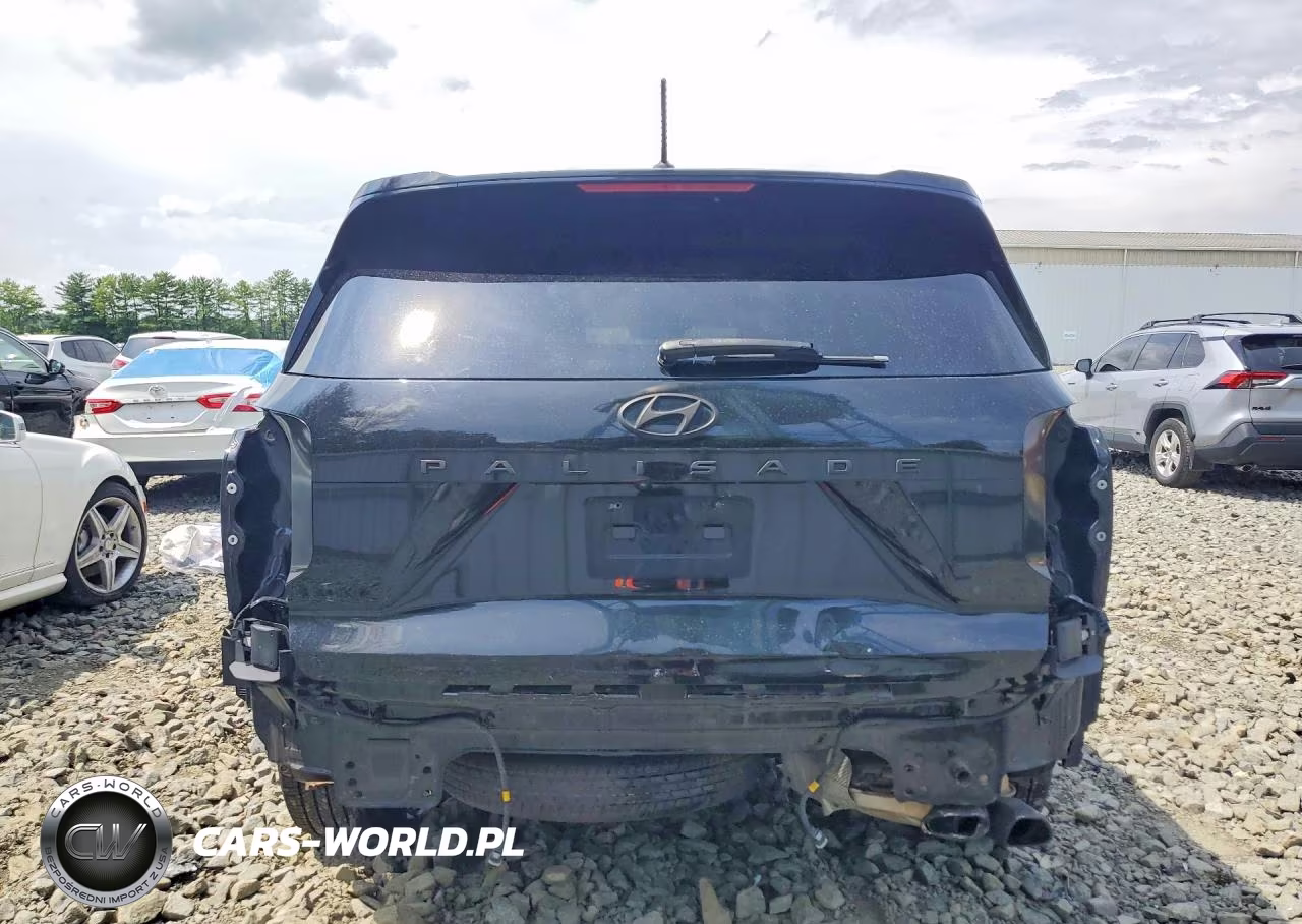 2020 Hyundai Palisade Sel VIN:KM8R24HE9LU050896 - 6