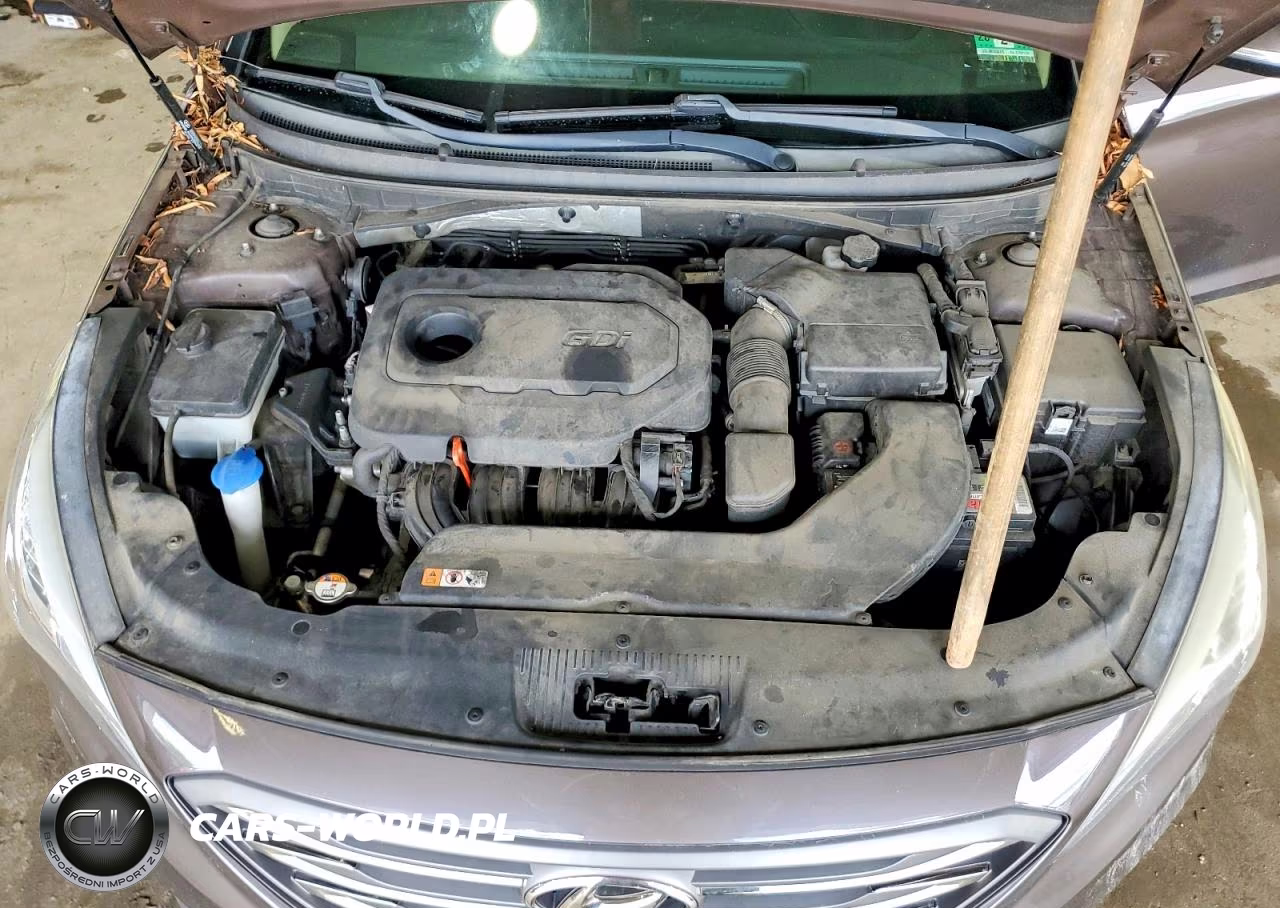 2015 Hyundai Sonata Sport VIN:5NPE34AF0FH087059 - 11