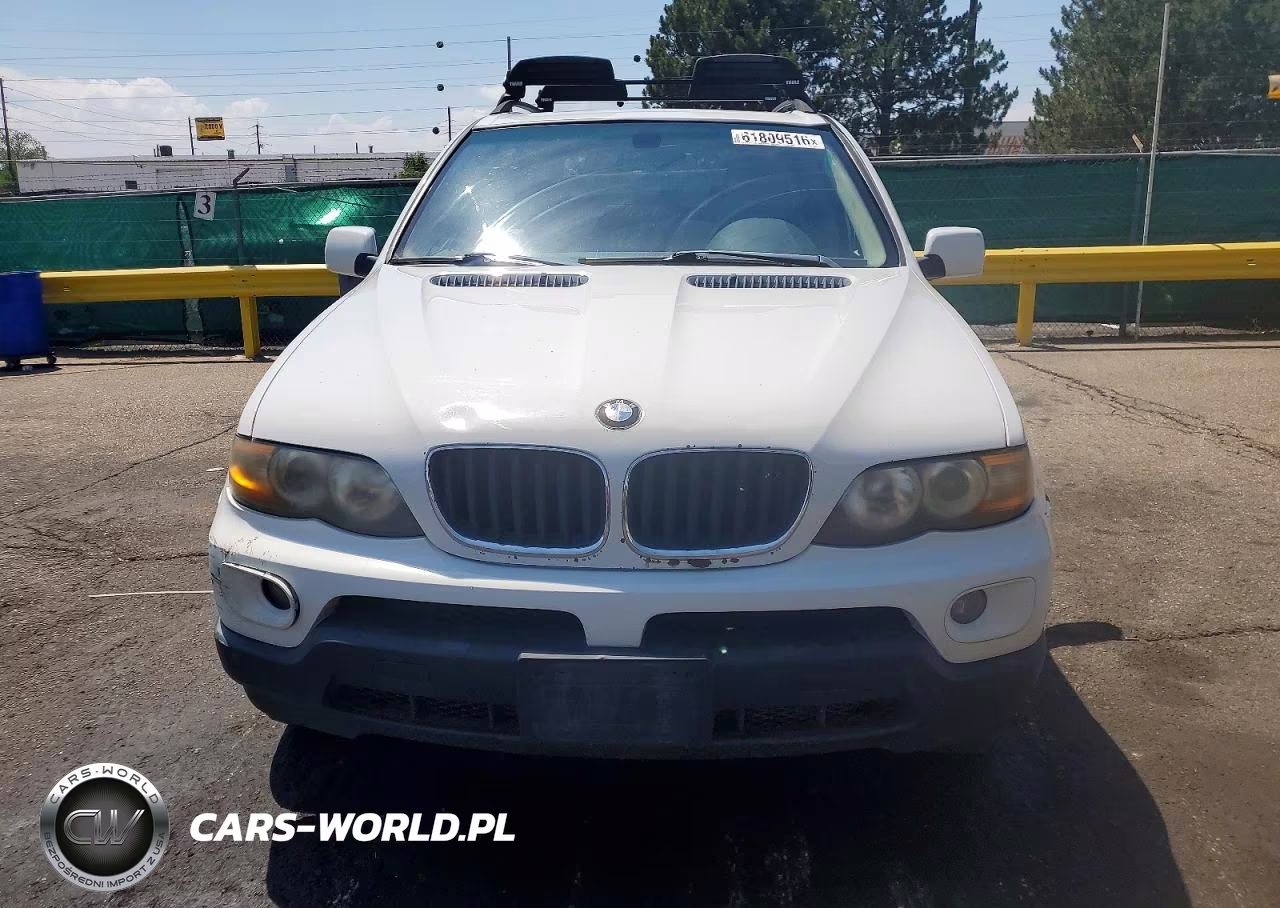 2006 BMW X5 VIN:5UXFA13566LY34073 - 5