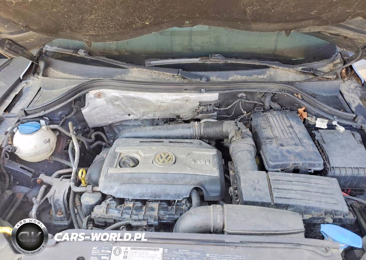 2014 Volkswagen Tiguan S VIN:WVGBV3AX1EW605250 - 11