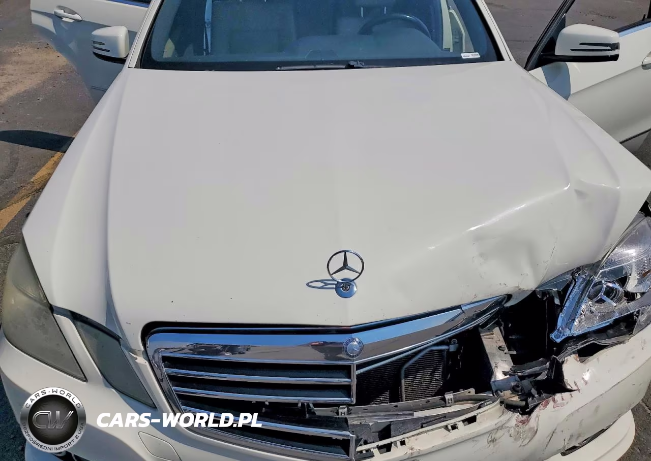 2010 Mercedes-Benz E 350 VIN:WDDHF5GB3AA076139 - 11
