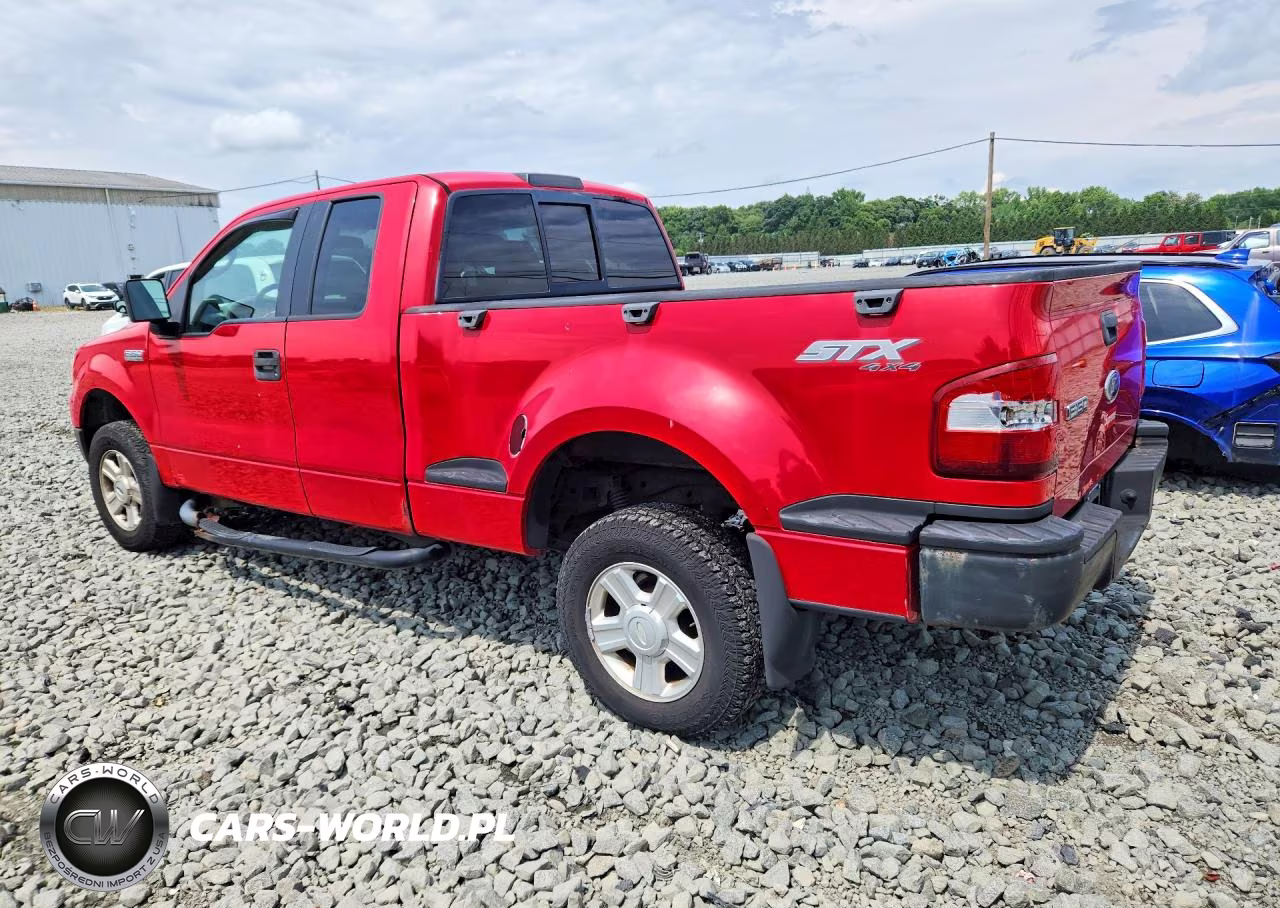 2005 Ford F150 VIN:1FTRX04W35KD21396 - 2