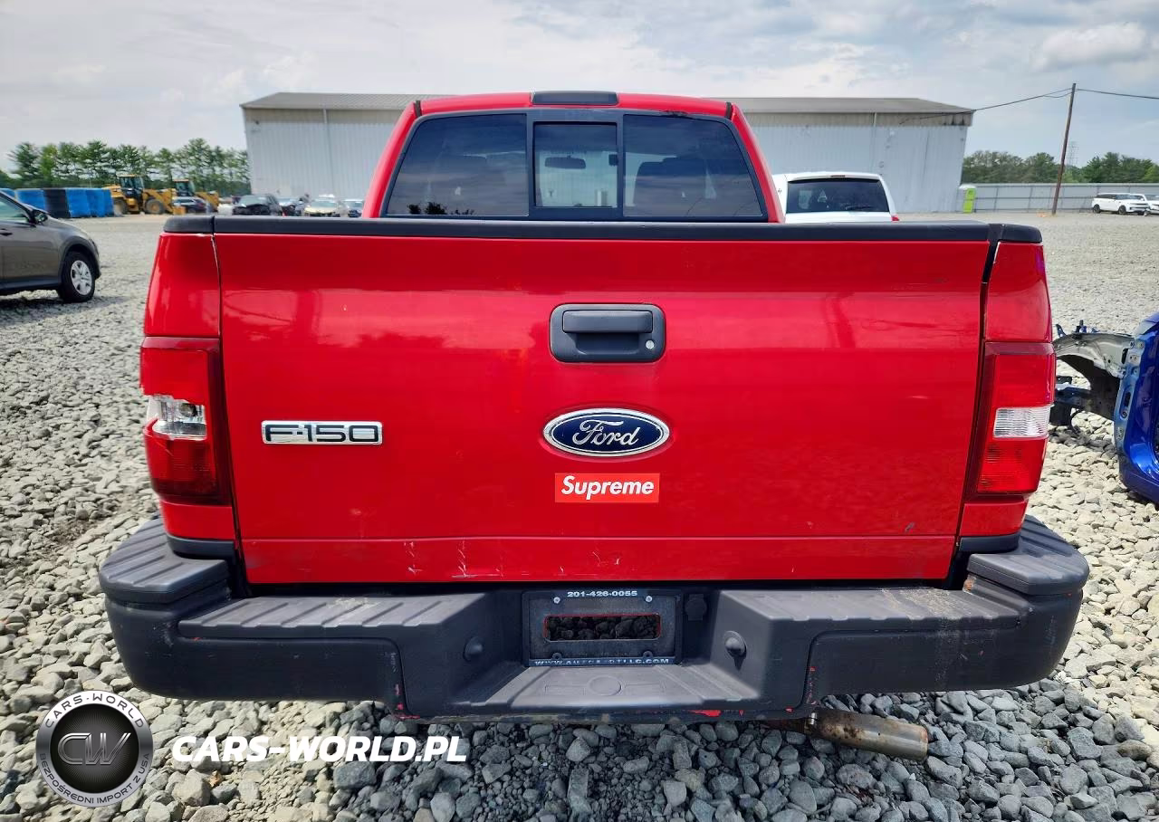 2005 Ford F150 VIN:1FTRX04W35KD21396 - 6