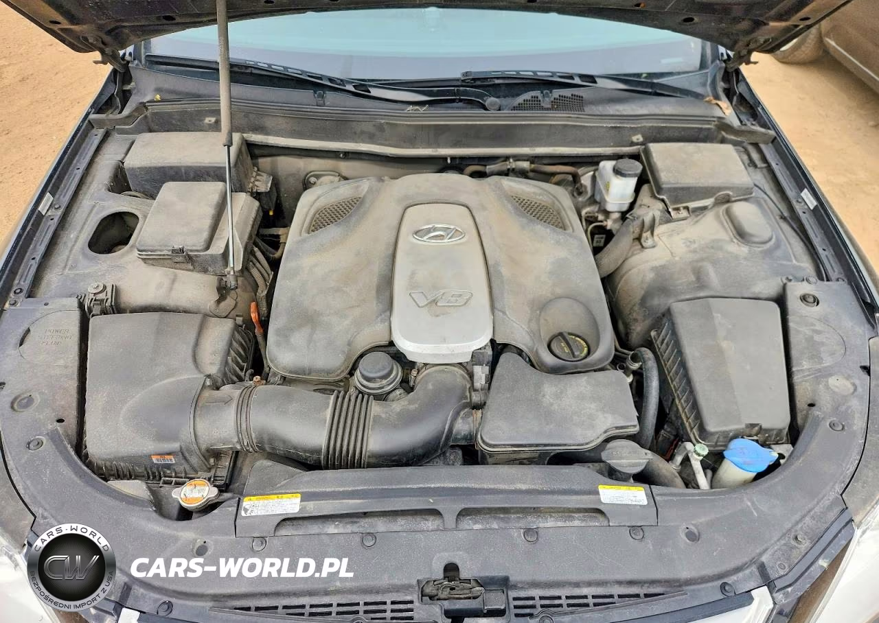 2009 Hyundai Genesis 4.6L VIN:KMHGC46F09U055672 - 11