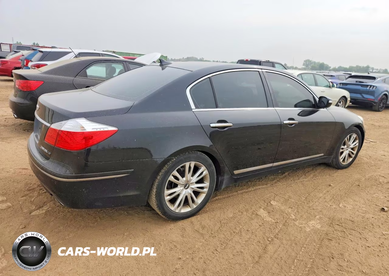 2009 Hyundai Genesis 4.6L VIN:KMHGC46F09U055672 - 3