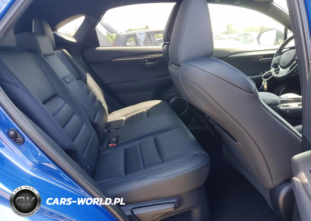 2021 Lexus Nx 300H F Sport Black Line VIN:JTJSJRDZ2M2154672 - 10