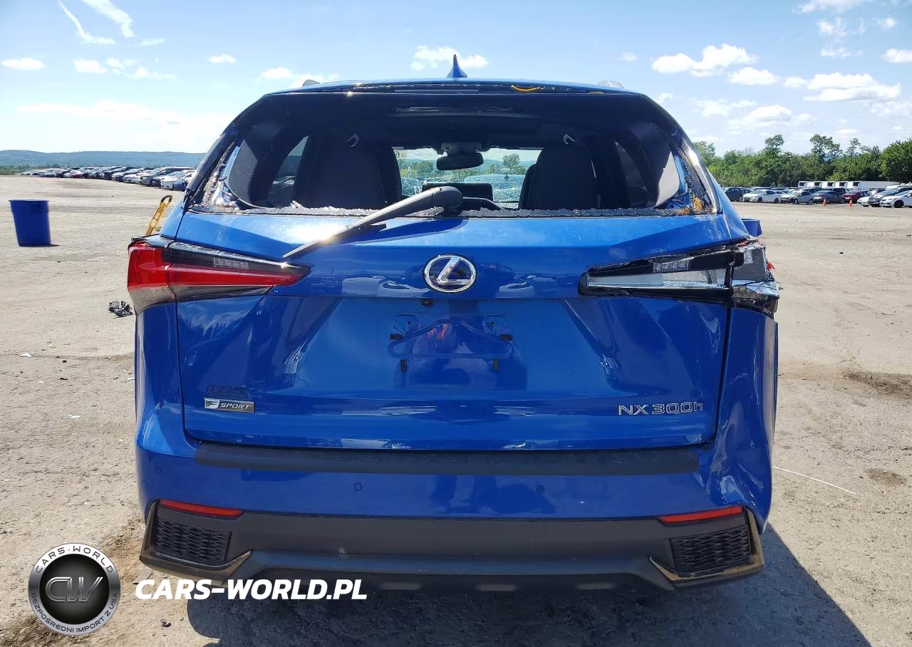 2021 Lexus Nx 300H F Sport Black Line VIN:JTJSJRDZ2M2154672 - 6