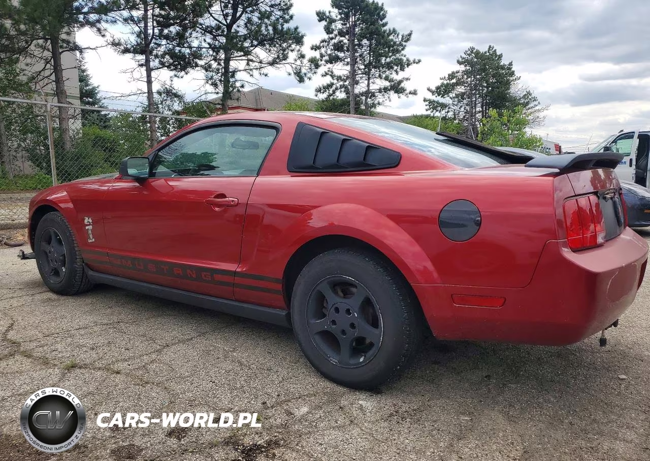 2006 Ford Mustang VIN:1ZVFT80N565250483 - 2