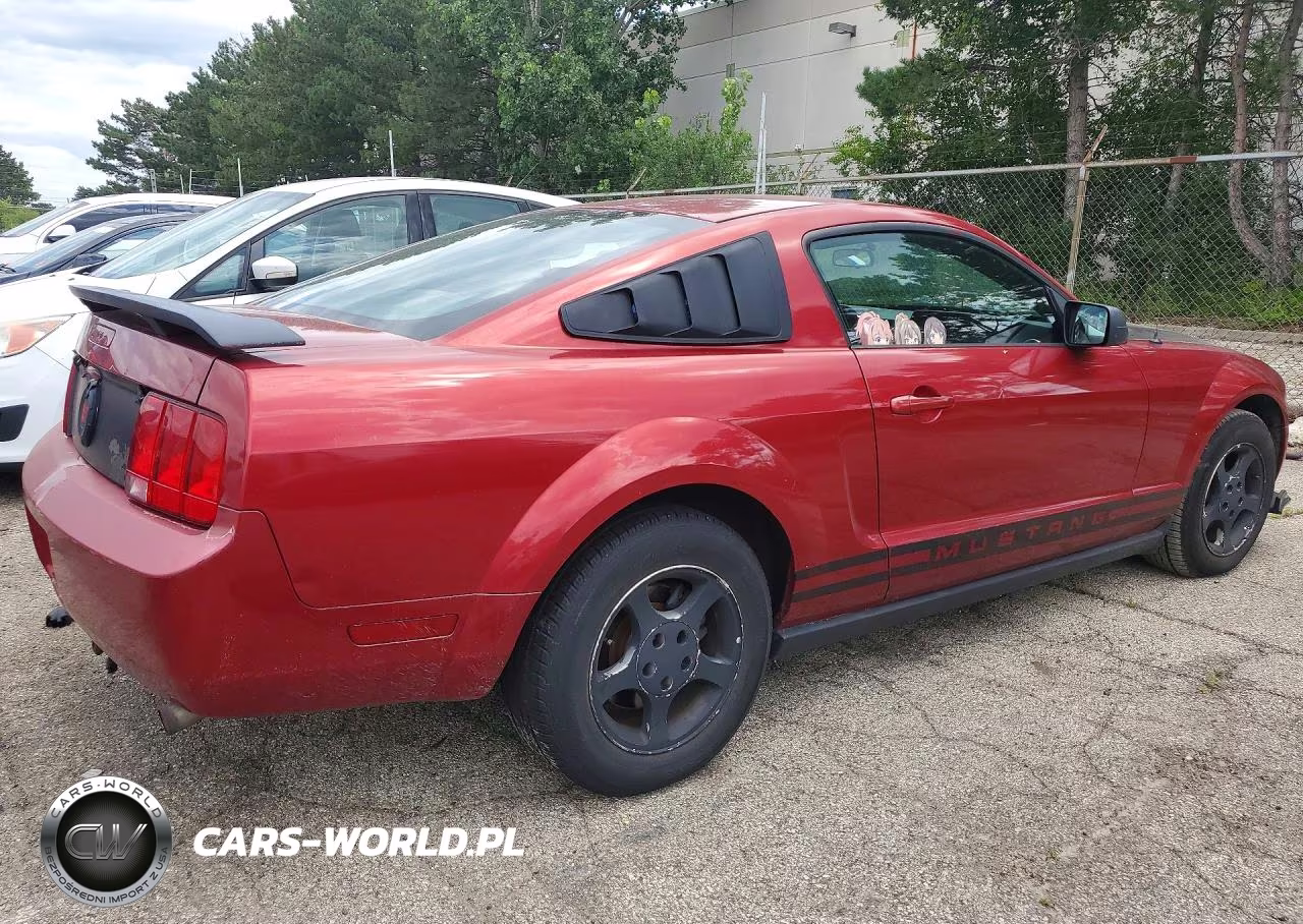 2006 Ford Mustang VIN:1ZVFT80N565250483 - 3