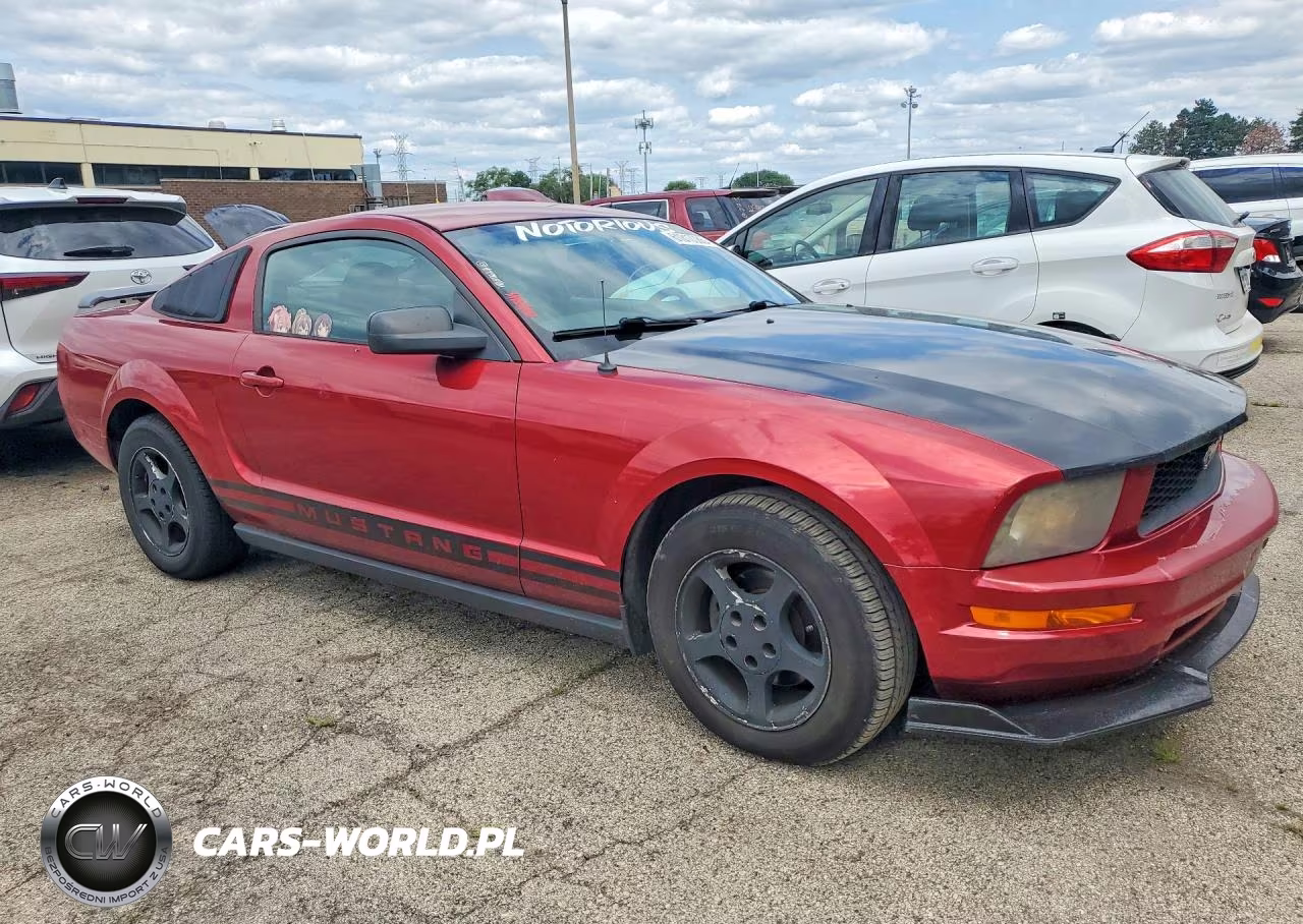 2006 Ford Mustang VIN:1ZVFT80N565250483 - 4