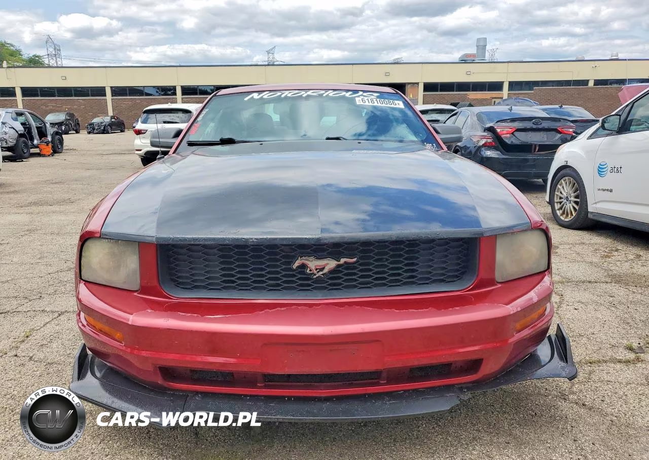 2006 Ford Mustang VIN:1ZVFT80N565250483 - 5