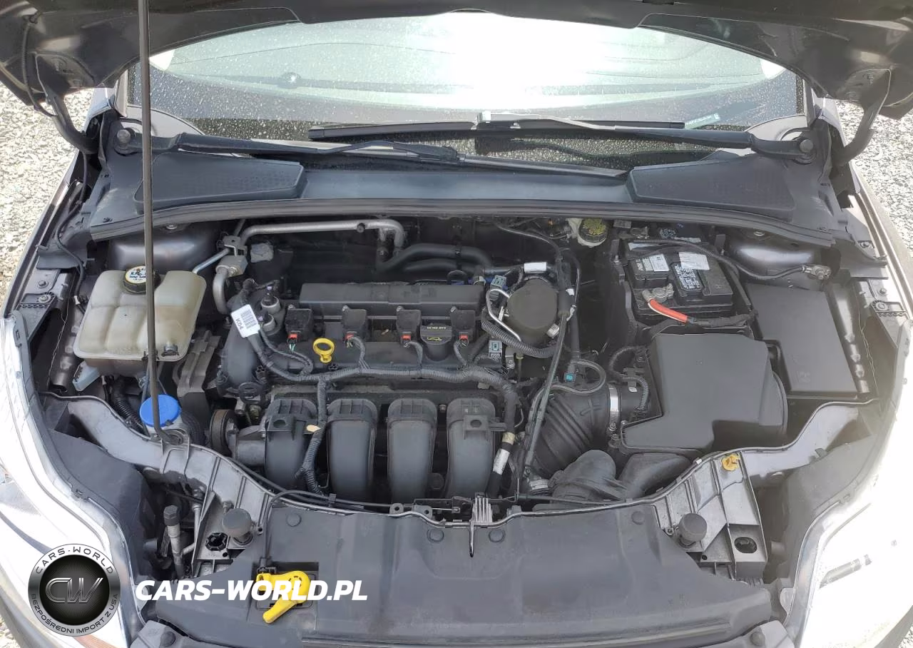 2014 Ford Focus Se VIN:1FADP3F25EL287404 - 11