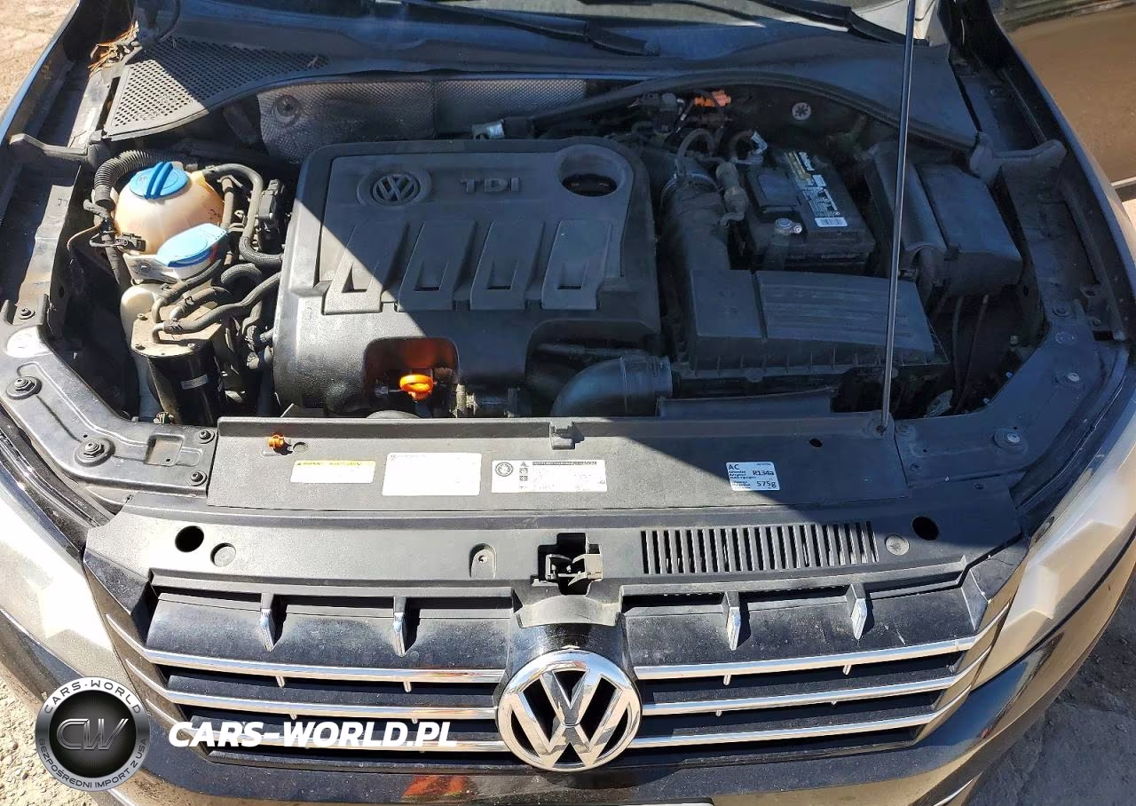 2013 Volkswagen Passat Sel VIN:1VWCN7A36DC050175 - 11
