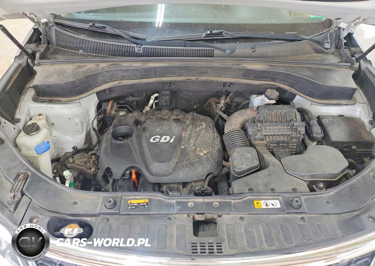 2014 Kia Sorento Lx VIN:5XYKTCA61EG429315 - 12