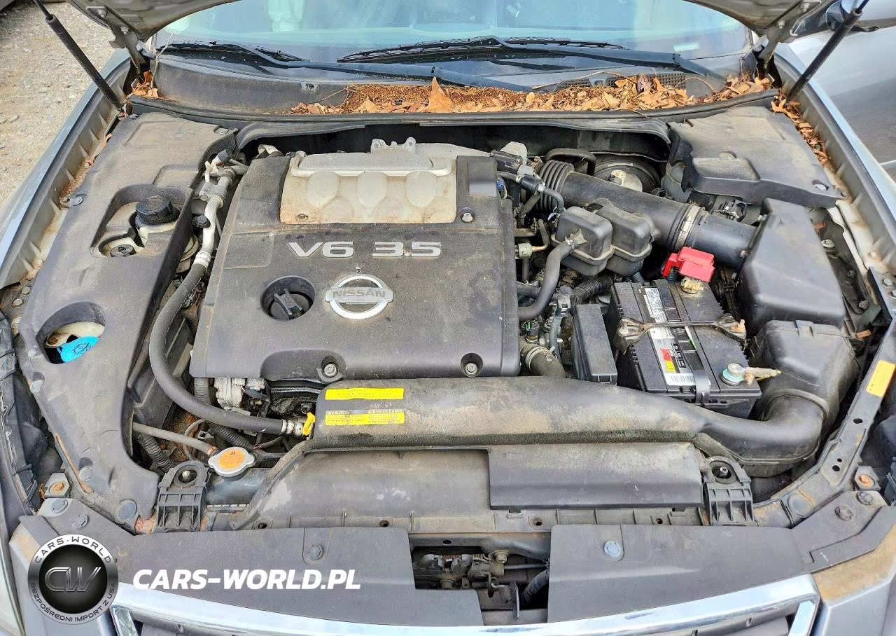 2008 Nissan Maxima 3.5 Se VIN:1N4BA41E68C830795 - 11