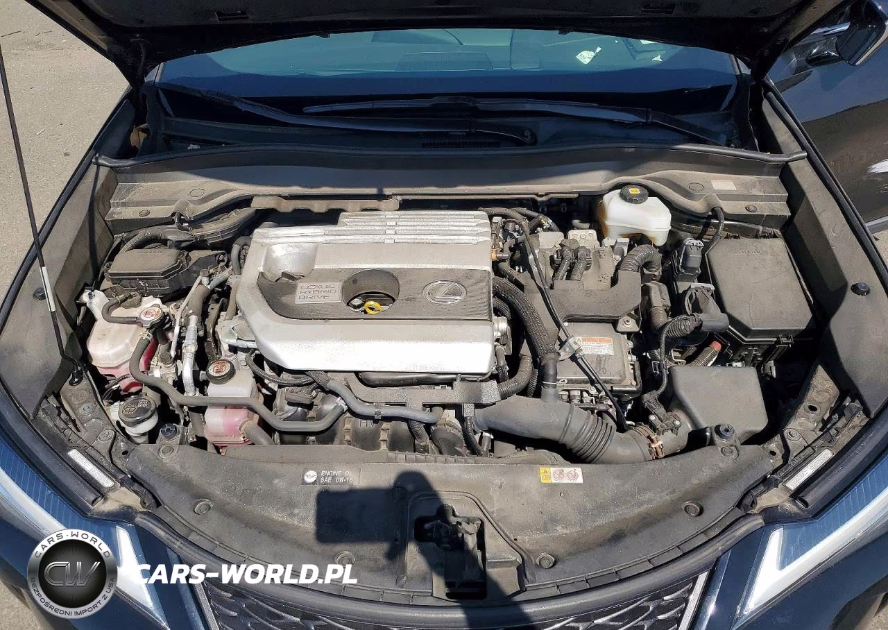2020 Lexus Ux 250H VIN:JTHR9JBH8L2025743 - 11