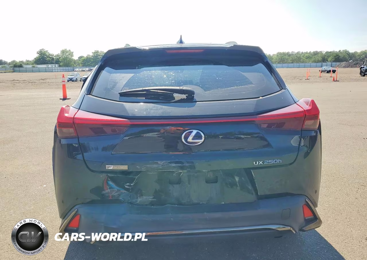 2020 Lexus Ux 250H VIN:JTHR9JBH8L2025743 - 6