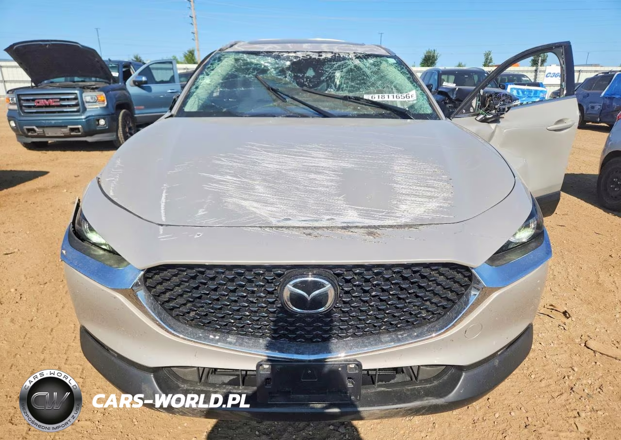 2022 Mazda Cx-30 Premium VIN:3MVDMBDL4NM456284 - 5