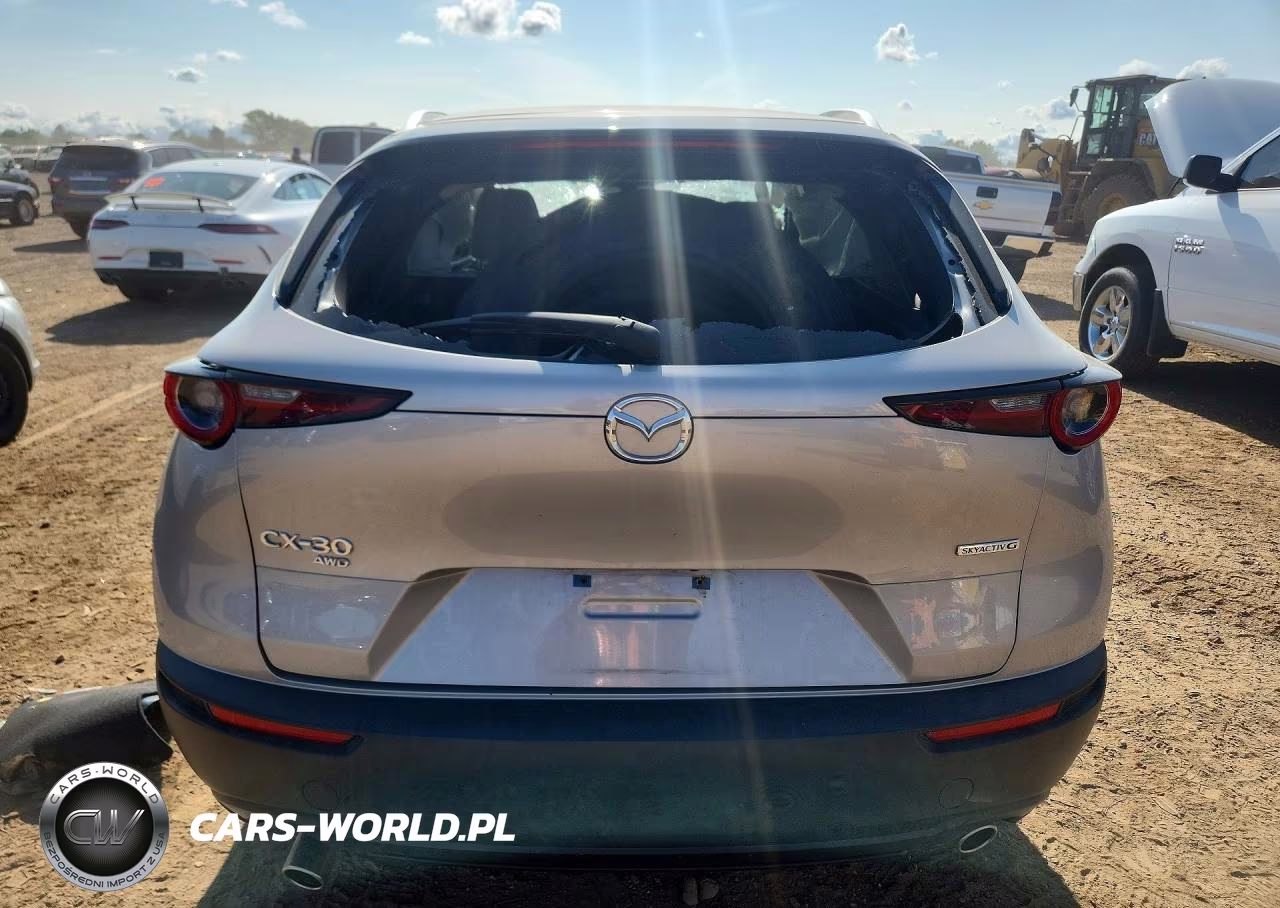2022 Mazda Cx-30 Premium VIN:3MVDMBDL4NM456284 - 6