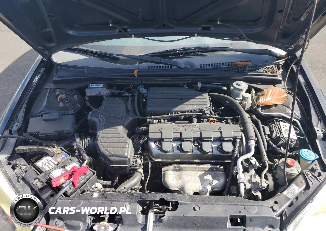 2005 Honda Civic Ex VIN:1HGEM21915L023281 - 11