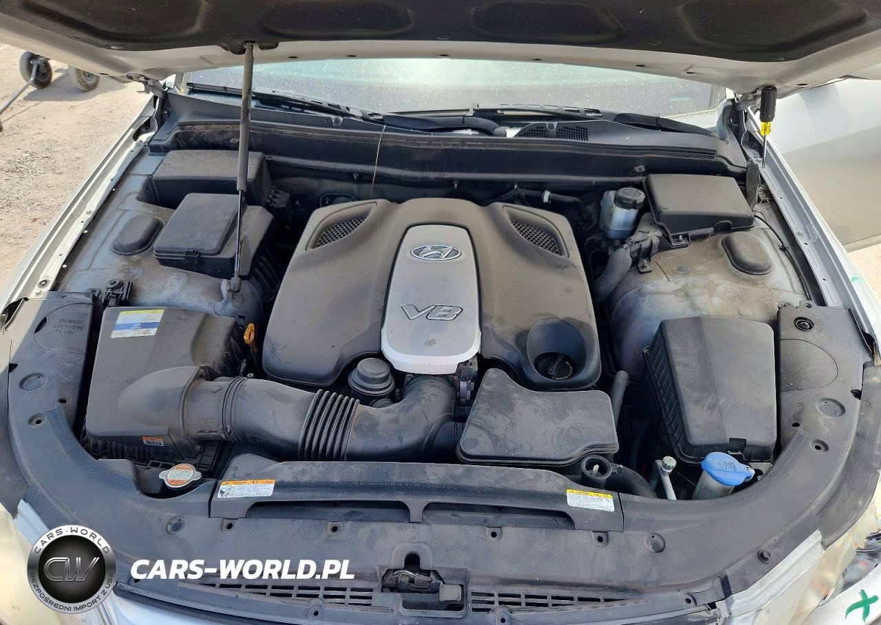2011 Hyundai Genesis 4.6L VIN:KMHGC4DF7BU127301 - 11