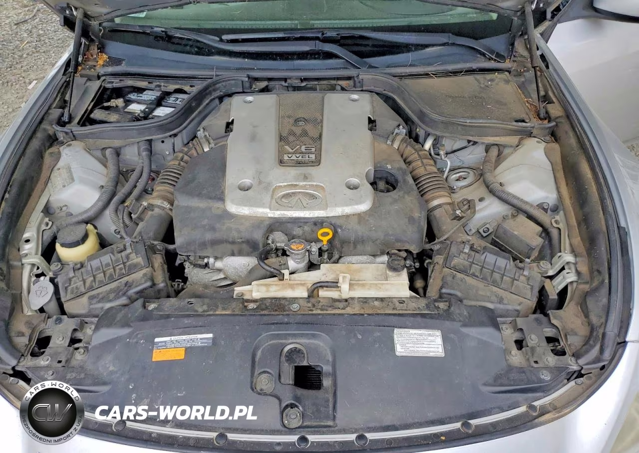 2010 Infiniti G37 Convertible Base VIN:JN1CV6FE3AM351499 - 11