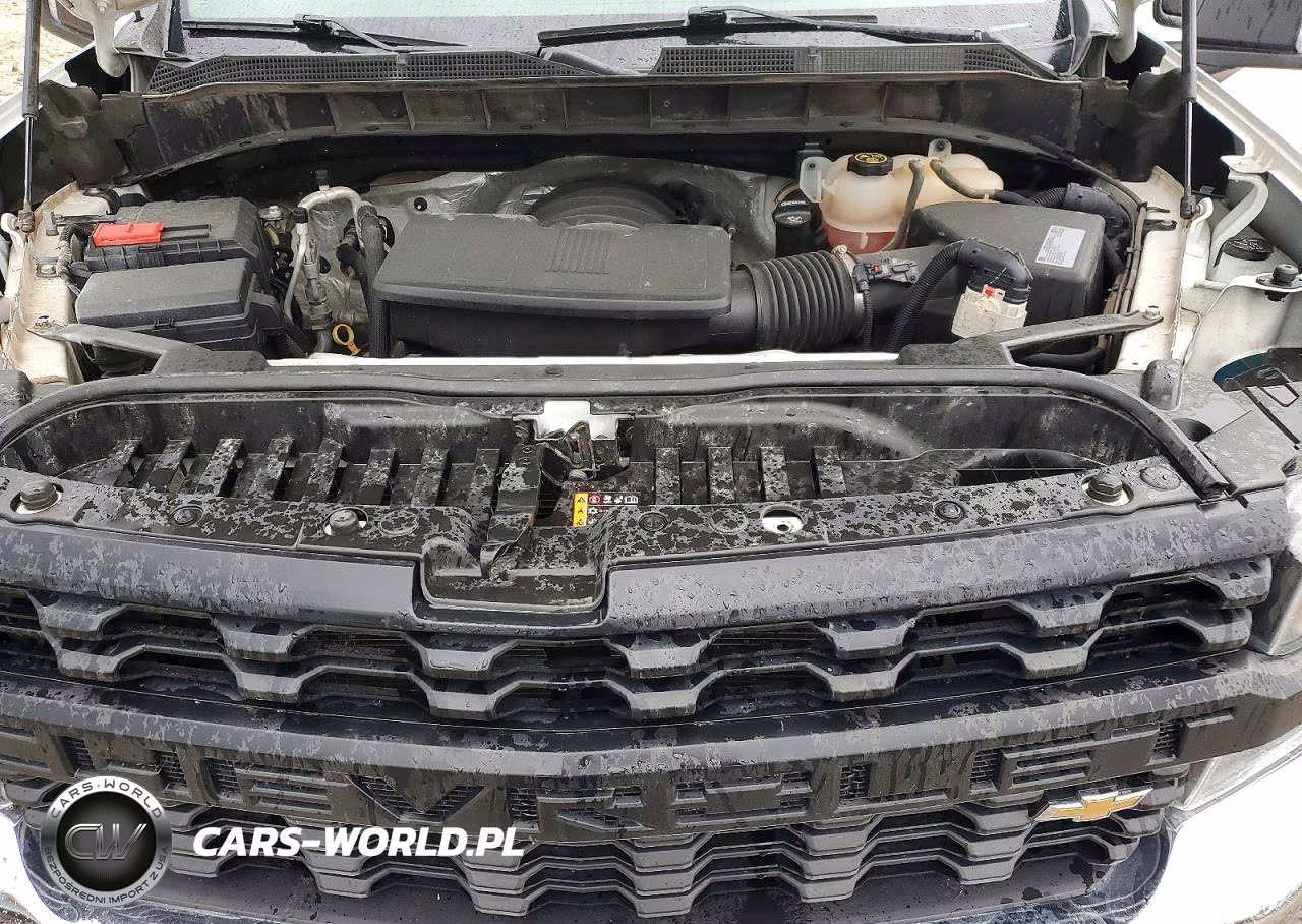 2021 Chevrolet Silverado K1500 VIN:3GCUYAEF3MG240920 - 11