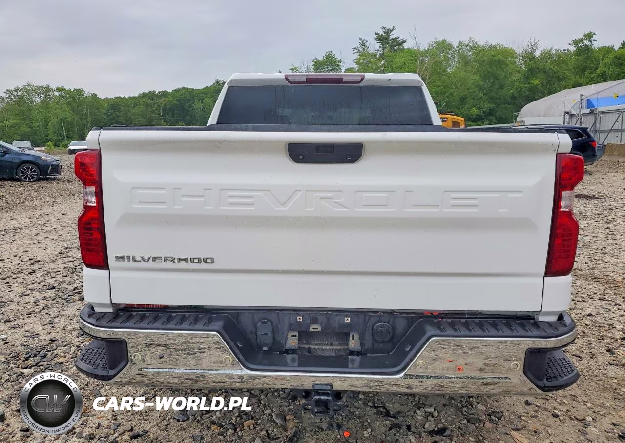 2021 Chevrolet Silverado K1500 VIN:3GCUYAEF3MG240920 - 6