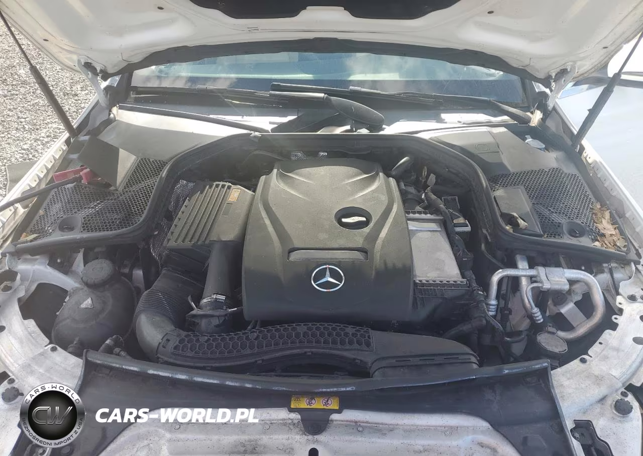 2018 Mercedes-Benz C 300 VIN:55SWF4JB9JU239693 - 11
