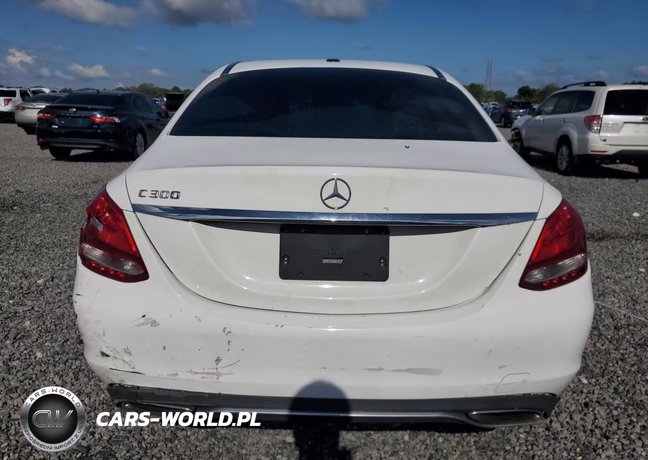 2018 Mercedes-Benz C 300 VIN:55SWF4JB9JU239693 - 6
