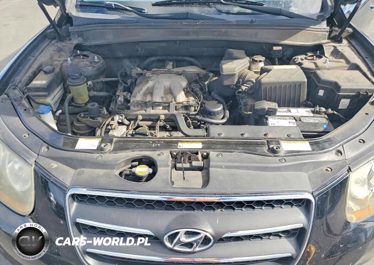 2007 Hyundai Santa Fe Se VIN:5NMSH73E67H051711 - 11