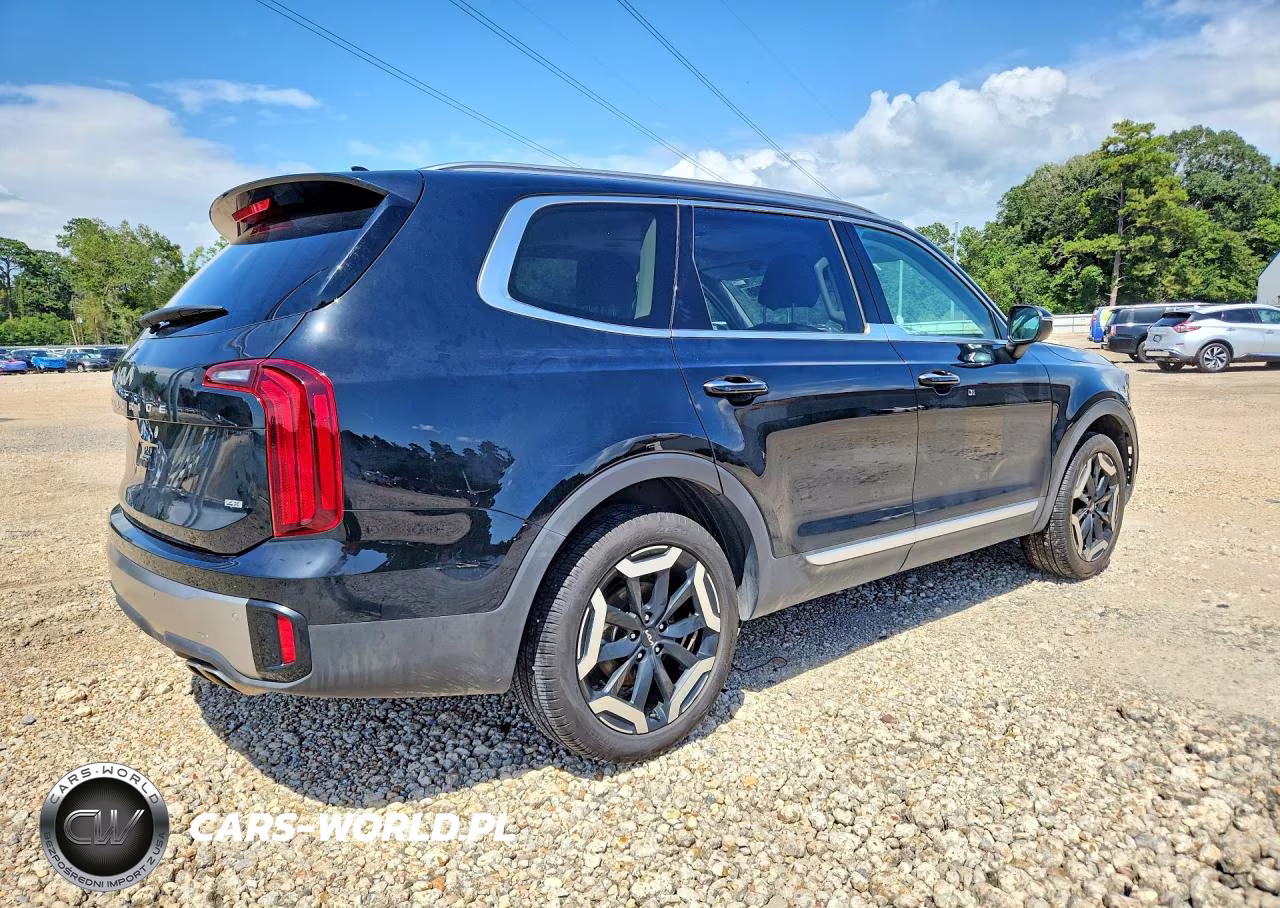 2025 Kia Telluride S VIN:5XYP6DGC4SG693544 - 3