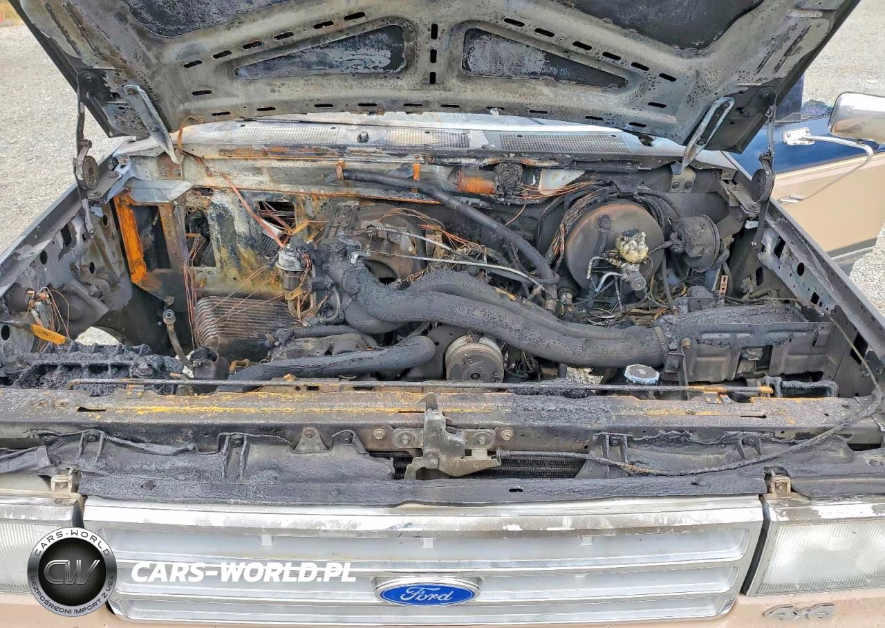 1987 Ford F250 VIN:1FTEF26N5HPB29549 - 11