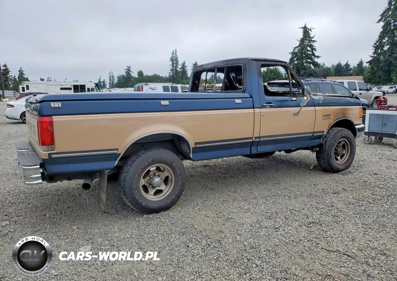 1987 Ford F250 VIN:1FTEF26N5HPB29549 - 3