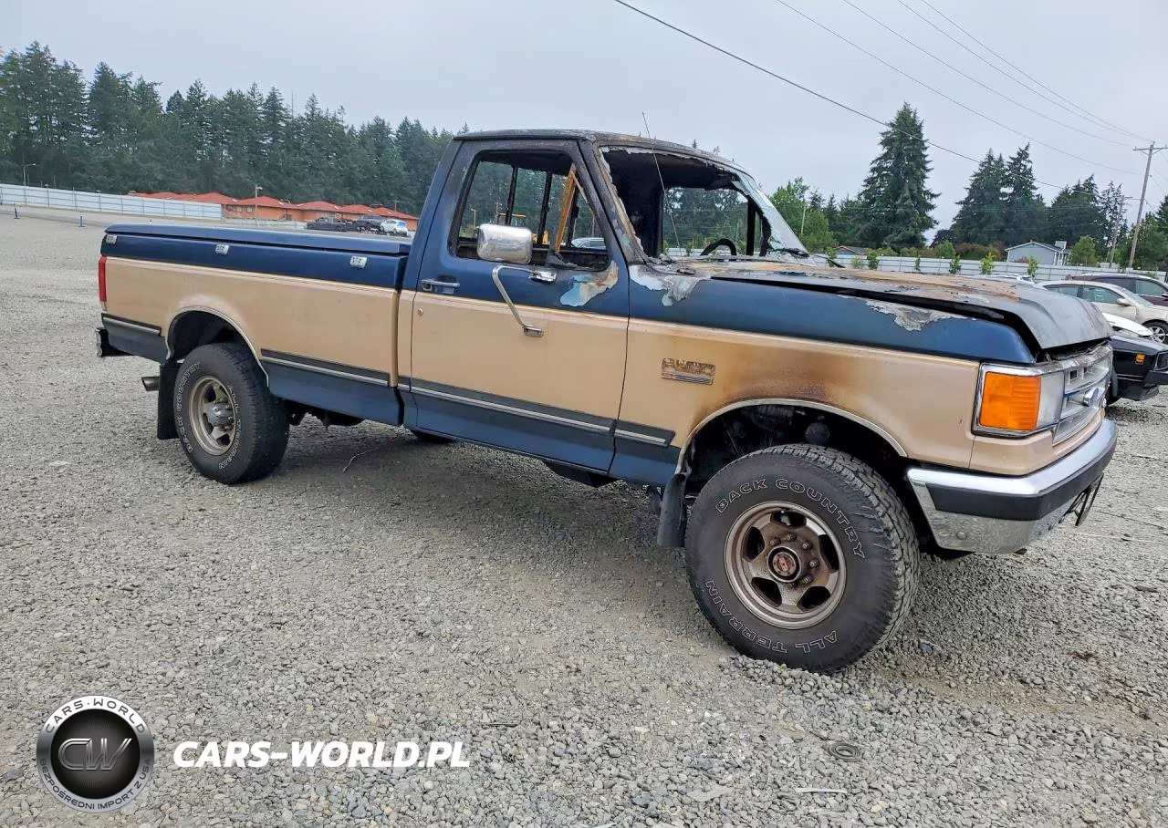 1987 Ford F250 VIN:1FTEF26N5HPB29549 - 4