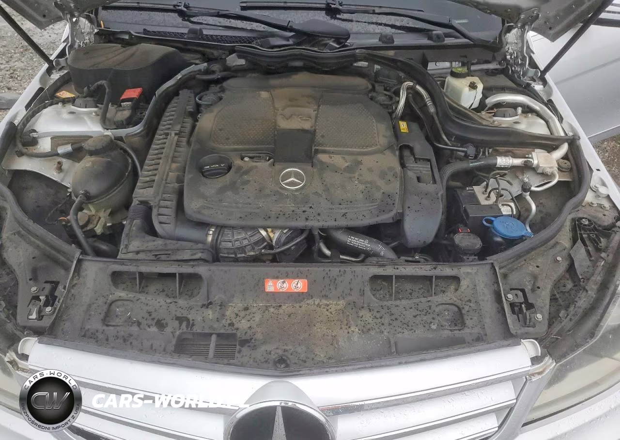 2013 Mercedes-Benz C 300 4Matic VIN:WDDGF8AB2DR256563 - 11