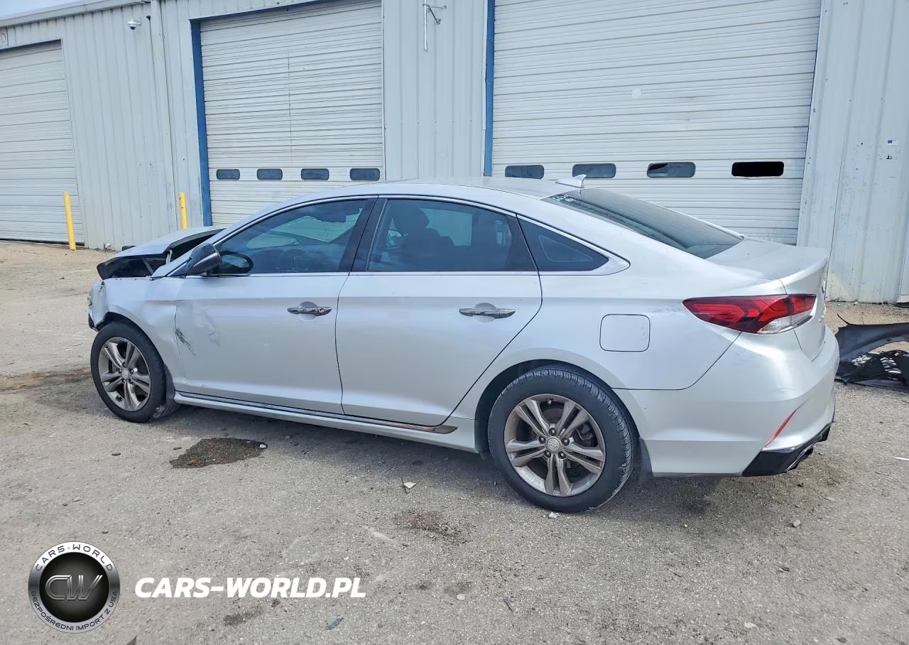 2019 Hyundai Sonata Sport VIN:5NPE34AF6KH813498 - 2