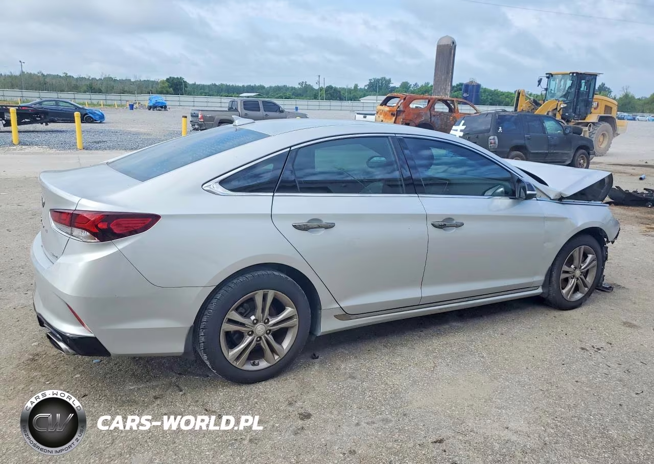 2019 Hyundai Sonata Sport VIN:5NPE34AF6KH813498 - 3