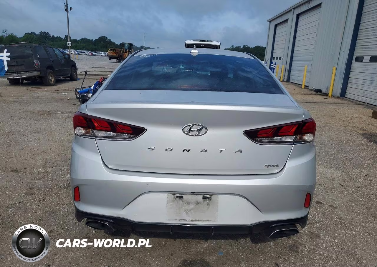 2019 Hyundai Sonata Sport VIN:5NPE34AF6KH813498 - 6