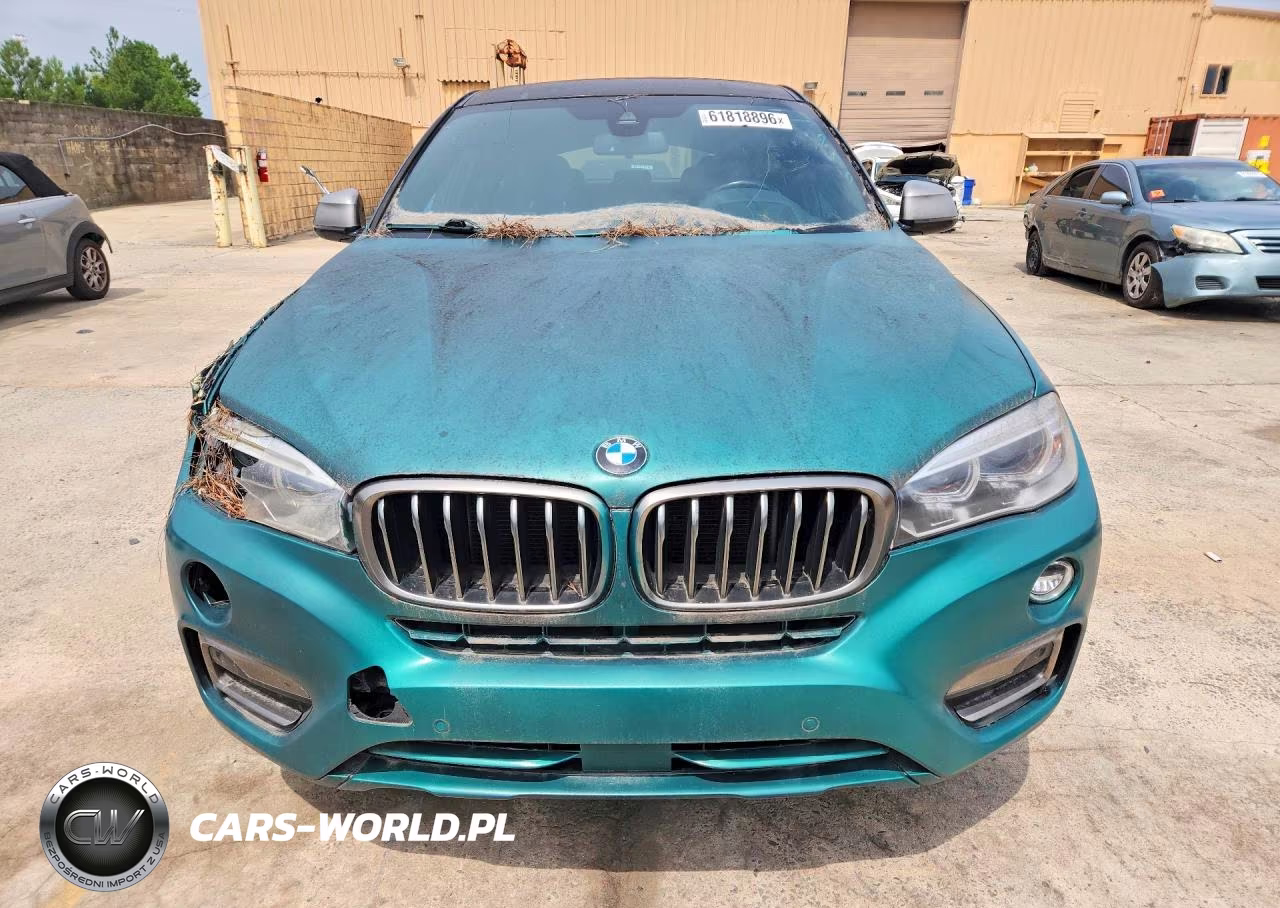 2018 BMW X6 Sdrive35I VIN:5UXKU0C52J0G69717 - 5