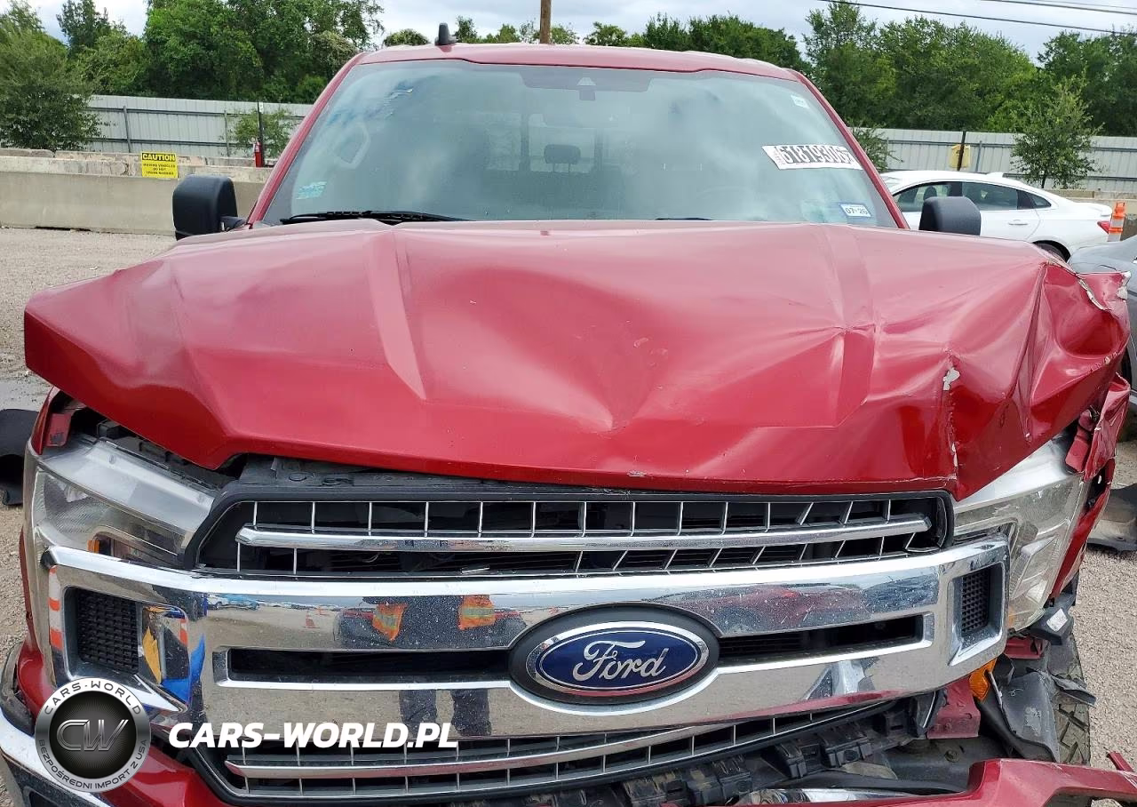 FORD F-150 VIN:1FTEW1CP2LKD60317 - 11