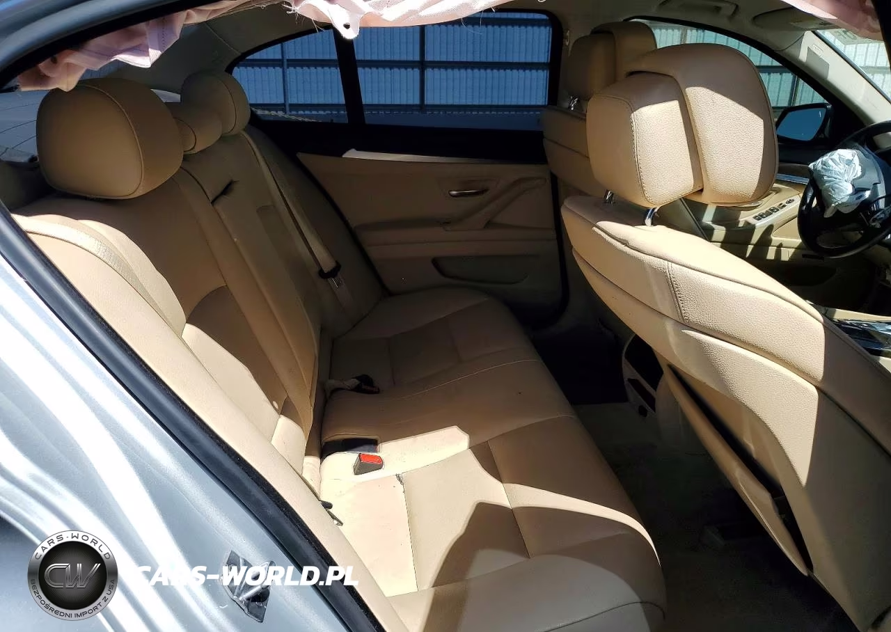 2013 BMW 528 I VIN:WBAXG5C52DD232822 - 10